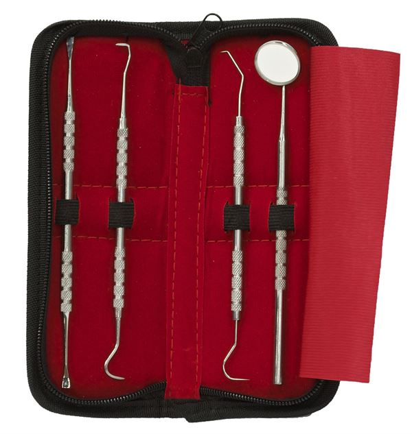 Tooth cleaning set 4 pieces for Dental Hygiene - 1 mouth mirror, 2x Curette tooth cleaner, 1 scraper - Fashiongirl